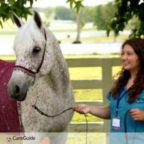 Pet Care Provider Lauren H's Profile Picture
