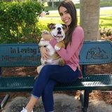 Deerfield Beach Dog Sitting Professional Searching for Work, 10 years of experience.