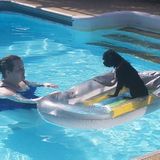 Talented Animal Caregiver in Pensacola