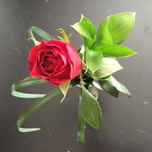 Housekeeper Provider Darlana S's Profile Picture