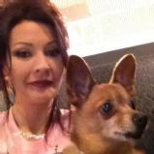 House Sitter Provider Daphne D's Profile Picture