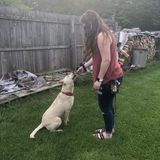 Aspiring Veterinary Assistant here to help you!