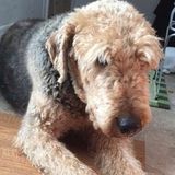 Energetic Caregiver, available now!
