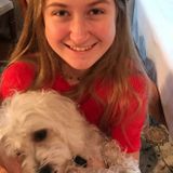 For Hire: Loving Pet Carer in Sugar Land and Missouri City, Texas