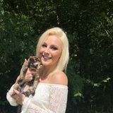 Germantown Housesitter Interviewing For Job Opportunities