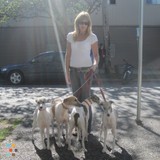 Qualified and Dependable Pet Sitter