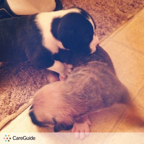 Pet Care Job Crystal R's Profile Picture