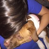 I am miranda from kent ny i love all dogs i would be a great fit for a furry friend.