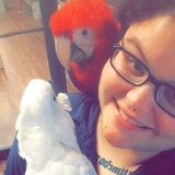 Animal lover looking to help you with your fur (or not furry) babies!