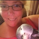 Qualified Animal Lover in Portsmouth/Kittery