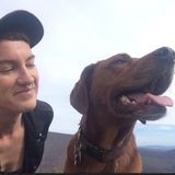 Dangerpaw Dog Care, a dog walking/sitting service in Asheville, NC!