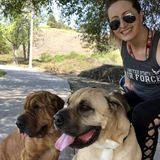 OC Dog Lover Available for Walking and Housesitting. Experienced