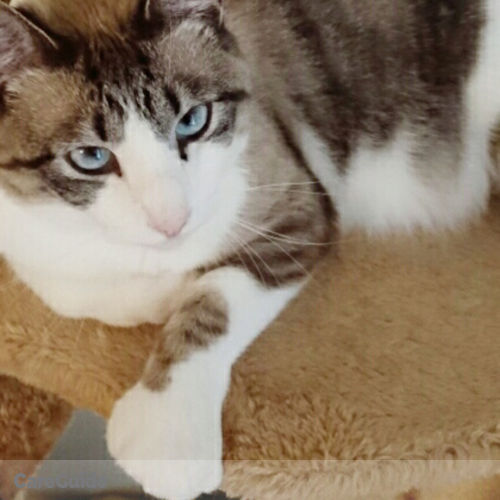 Pet Care Job Julia James's Profile Picture