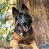 Holly Cook Photography, LLC