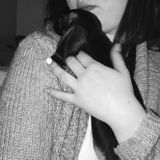 I am Vanessa Halley, I am interested in babysitting,walking, and taking care of Animals in the DFW metroplex.