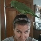 More Animal Than Human: 12+years of pet/house-sitting on the Mainline outside of Philadelphia as a business owner