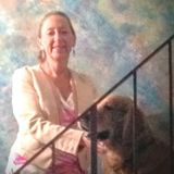 House Sitter Searching for Job Opportunities in Folsom