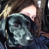 Highly Attentive Pet Sitting Professional Available Immediately With Flexible Schedule