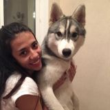 Most Careful Pet Sitter in Gatineau, an animal lover!