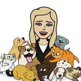 Patchogue Dog Walker Seeking Job Opportunities in New York