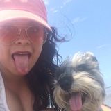 Searching for Ashburn Pet Trainer, Virginia Jobs