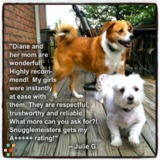 Snugglemeisters Pet Sitting Pros, LLC