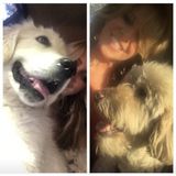 Looking For a Pet Carer Job in Chatsworth, California