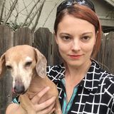 Approach School with Confidence! Elementary and Middle School Tutor Accepting Clients Now