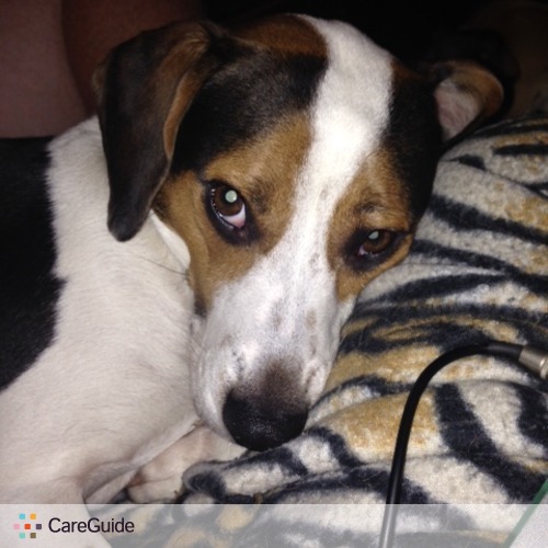 Pet Care Job Katie S's Profile Picture