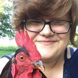 Professional Pet Sitter With Medical Background