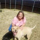 Mature and Dependable House sitting services.