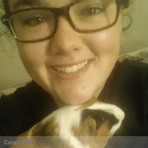 Pet Care Provider Kaitlin Price's Profile Picture