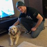 Watching/dog sitting, walking, running (if your dog wants)