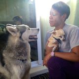 Patient, caring, and lovable dog sitter waiting to sit with your dog or dogs.