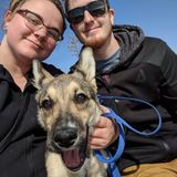 North Bay Dog Walker Interviewing For Job Opportunities