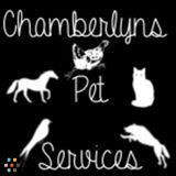 Loving, experienced pet care provider