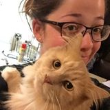 Pet lover willing to help other pet lovers!
