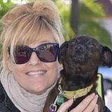 Minding the Roost, Private Home and Pet Sitting in California