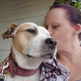 Available: Knowledgeable Pet Carer in Lodi