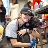 Available: Caring, Knowledgeable Pet Sitter in Chapel Hill, North Carolina Area
