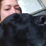 Lover of dogs, big & small. I adore & care for them all!