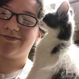 Taking Care of Animals in Saint Louis!
