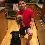 Palos Hills Petsitter Available in Palos Hills Hickory Hills area