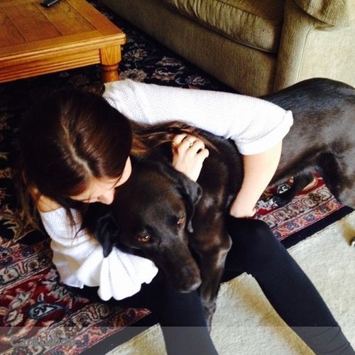 Pet Care Provider Rachel S's Profile Picture