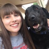Responsible House Sitter in Arcata Area