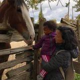 Hello,
My name is Sonam. I am a experienced nanny and will be offering childcare, light housekeeping and meal prep.