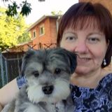 Palatine Pet Service Provider Interested In Work near Palatine, Illinois