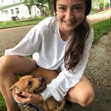 Animal lover, available for any type of pet out there!