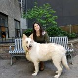 Long Beach Pet Care Provider Seeking Being Hired