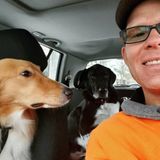 WALK Dog Services at DogsofStratford